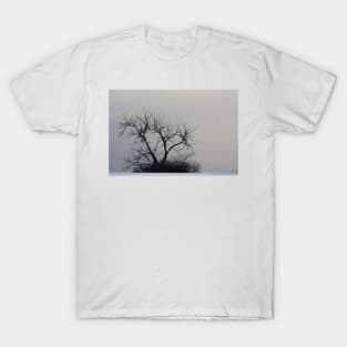 Winter Tree T-Shirt